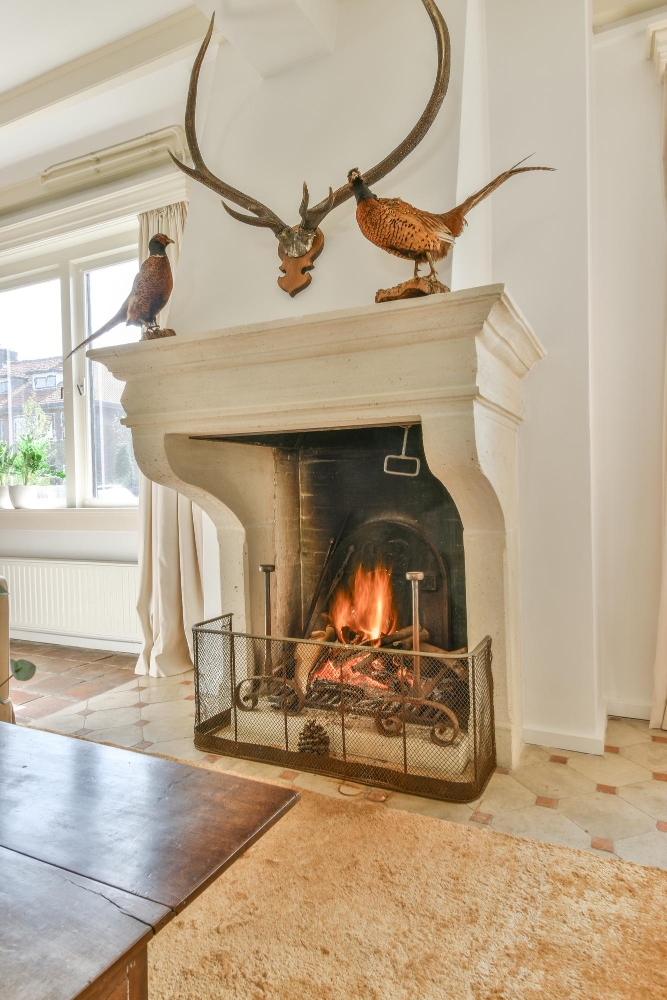 Chimneys & Fireplace Service